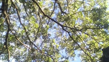 Camping Amudoch Resistencia - Resistencia