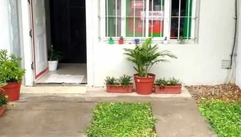 La Esquina del Éxito - Oro Verde