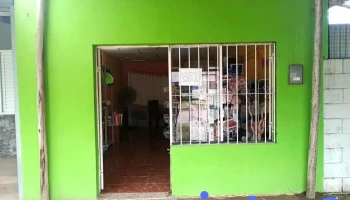 Librería fenix - Casilda