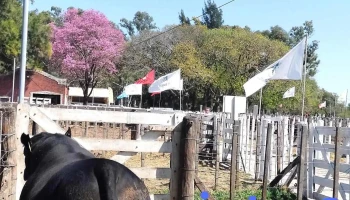 Predio Sociedad Rural de San Cristóbal - San Cristobal