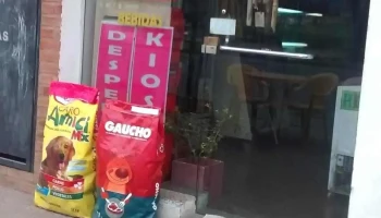 Quiosco Despensa - Cámara