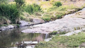 Reserva Natural El Portecelo - Córdoba