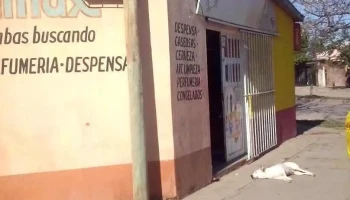 Servimax - Corrientes