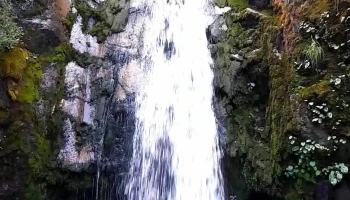 Turismo El Maitén - El Maitén