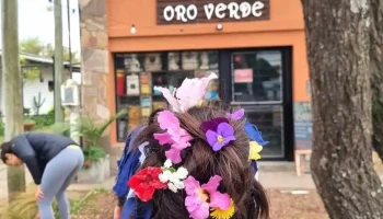 Vivero Oro Verde - Oro Verde