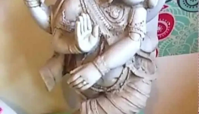 Almacen Hindu Del Propietario - Chimbas