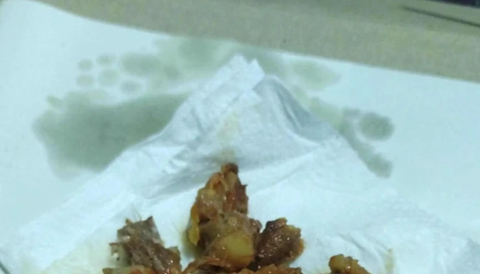 Bacan Boutique de empanadas - San Antonio Oeste