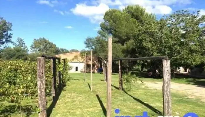 Bodega Finca Las Breas - Córdoba