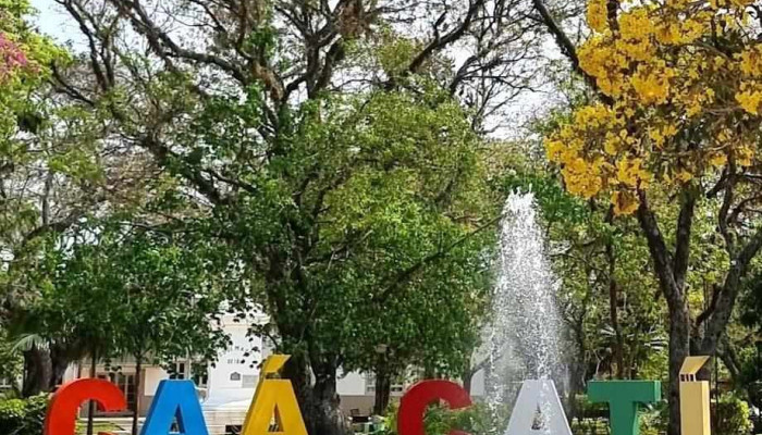 Caa Cati Puntaje - Caá Catí