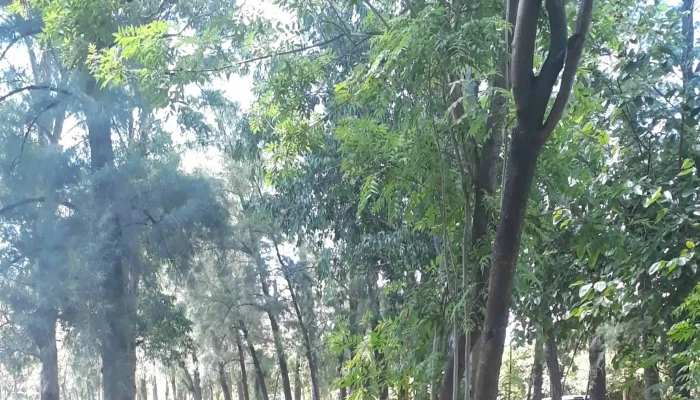 Camping Amudoch Resistencia -  Como Llegar - Resistencia