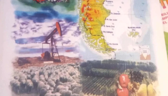 Don Quijote Libros -  Telefono - Bbc