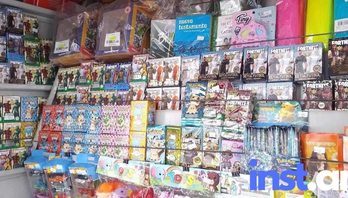 Eco kiosco El 5 - San Martín 401