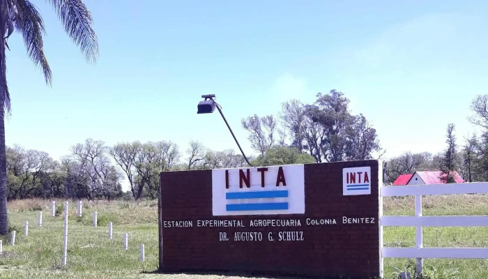 Eea Inta -    Colonia Benitez Col Benitez - Col. Benítez