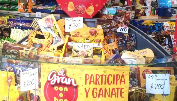 El Gran Montanes Del Propietario - El Bolsón