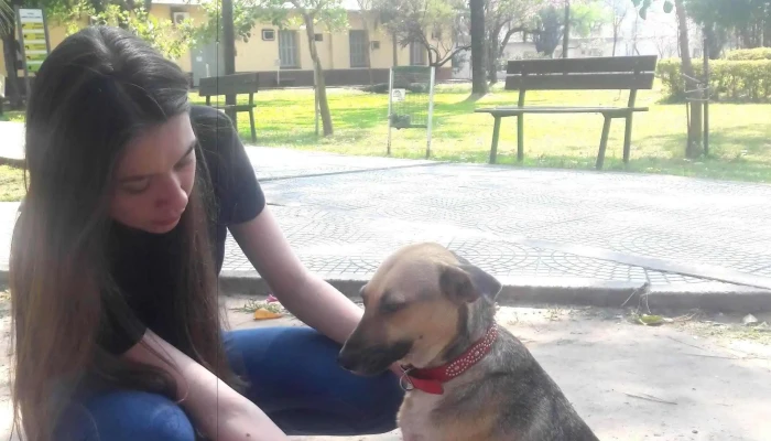 Facultad De Ciencias Agrarias Unne Opiniones - Corrientes