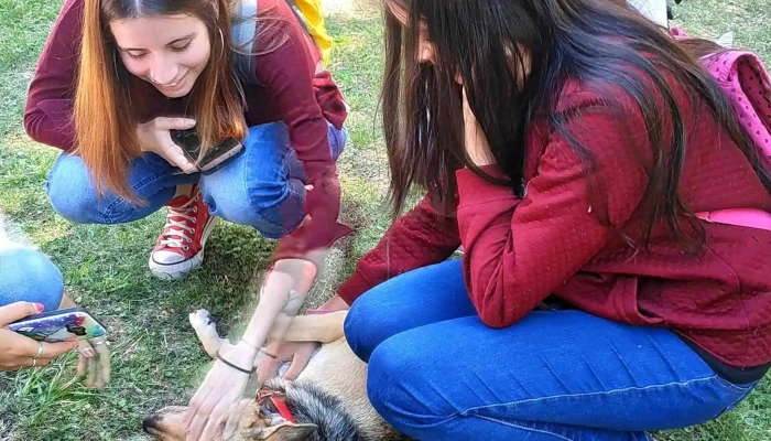 Facultad De Ciencias Agrarias Unne Zona - Corrientes