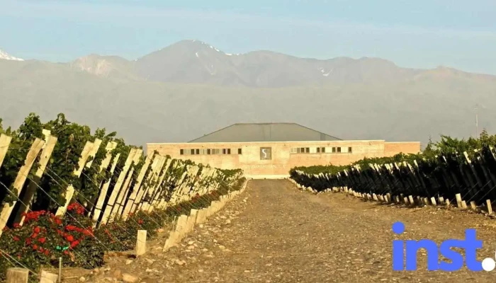 Finca Sophenia - Ruta 89