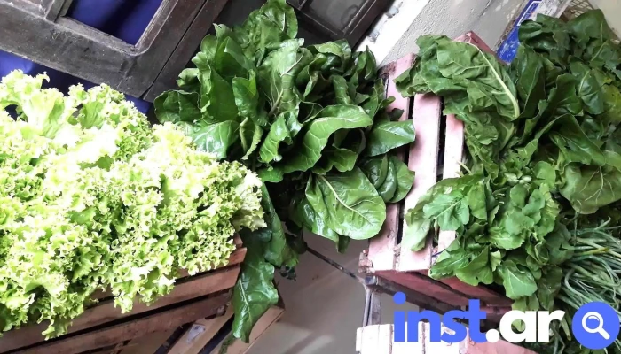Fruteria Verduleria Y Maxikiosco Martina Del Propietario - Col. Elisa