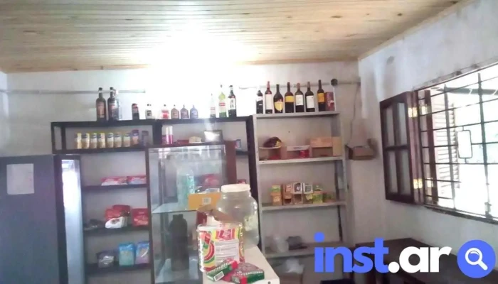 Kiosco Bajo Cero -  Interior - Col. Benítez