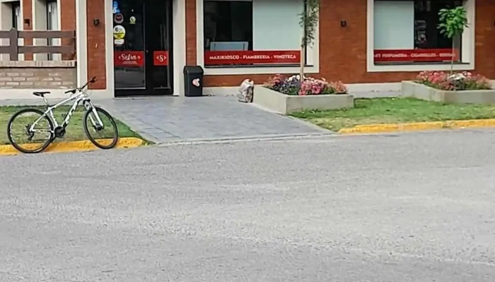 Kiosco Sofia - San Luis