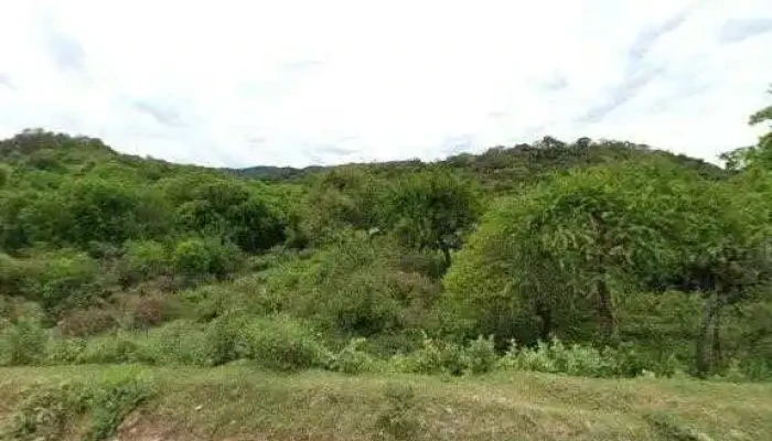 Kiosko -  Zonadeg - La Cocha