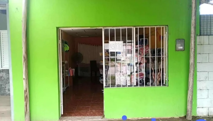 Librería fenix - Casilda