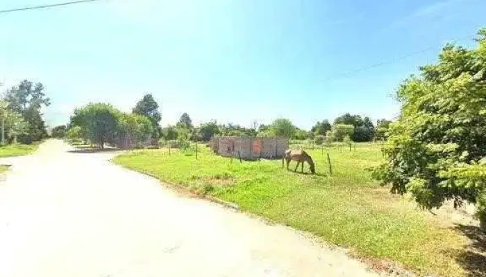 Loteria Chaquena Puntaje - Col. Elisa