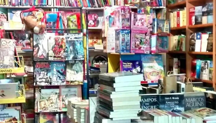 Manuscritos Libros -  Estante De Libros - Cipolletti