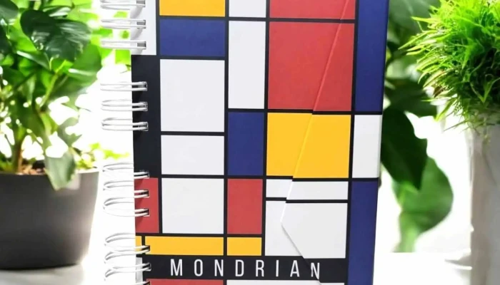 Mariposa De Papel -  Horario - Sáenz Peña