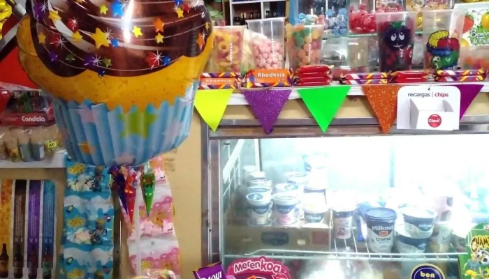 Maxi Kiosco Lo De Chelo -  Interior - Avia Terai
