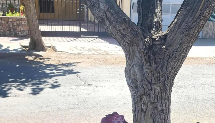 Municipalidad De Rawson -  Descuentos - San Juan