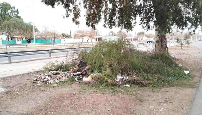 Municipalidad De Rawson -  Sitio Web - San Juan