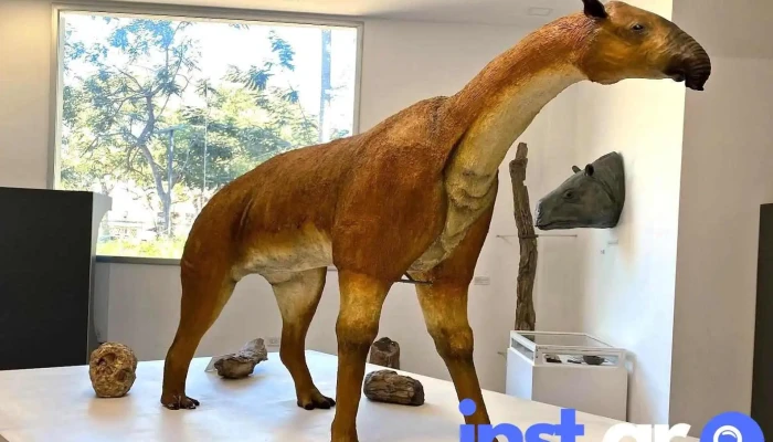 Museo de Ciencias Naturales "Amado Bonpland" - Corrientes