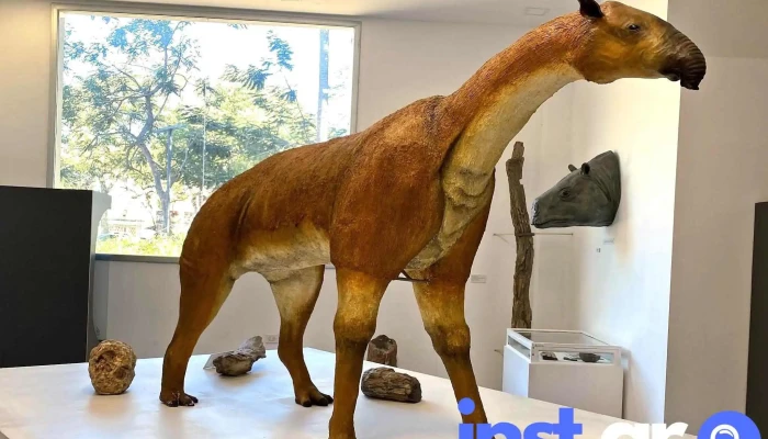 Museo De Ciencias Naturales Amado Bonpland Donde - Corrientes