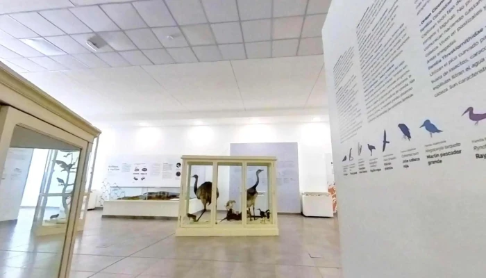 Museo De Ciencias Naturales Amado Bonpland Dondedeg - Corrientes