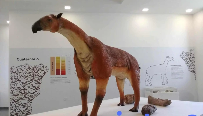 Museo De Ciencias Naturales Amado Bonpland Escultura - Corrientes