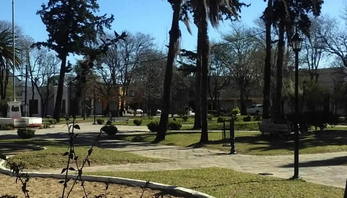 Plaza 25 De Mayo -  Sitio Web - Esquina