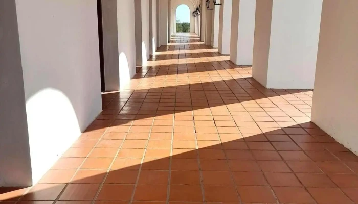Replica Del Cabildo Mas Recientes - La Punta