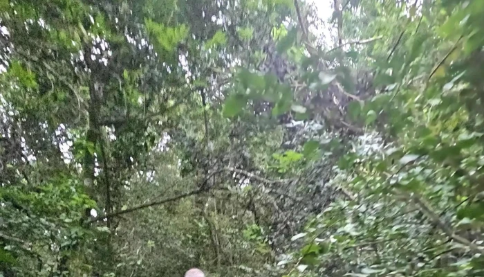 Reserva Natural Los Chaguares -  Descuentos - Col. Benítez