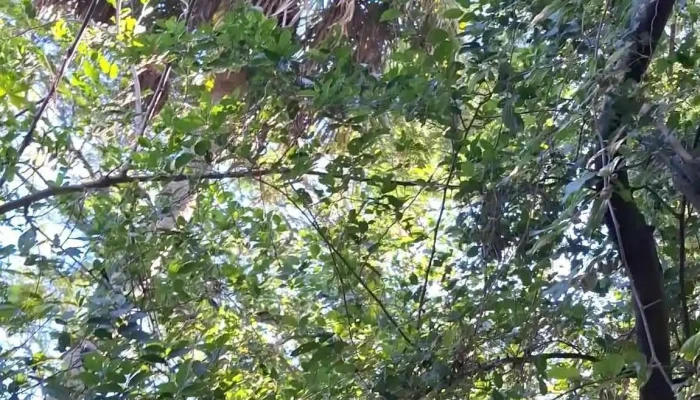 Reserva Natural Los Chaguares -  Videos - Col. Benítez