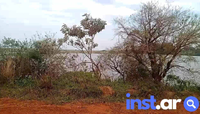 San Martin Videos - Corrientes