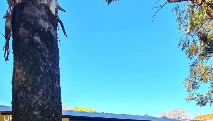 Universidad Nacional Del Nordeste -  Promocion - Resistencia