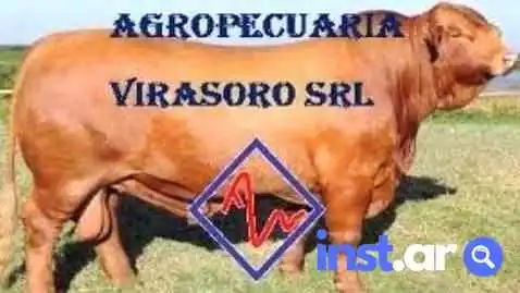 Virasoro Corrientes -  Numero - Gdor. Virasoro